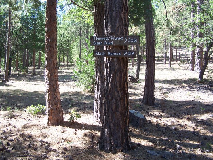 Signage Showing Forest Management
